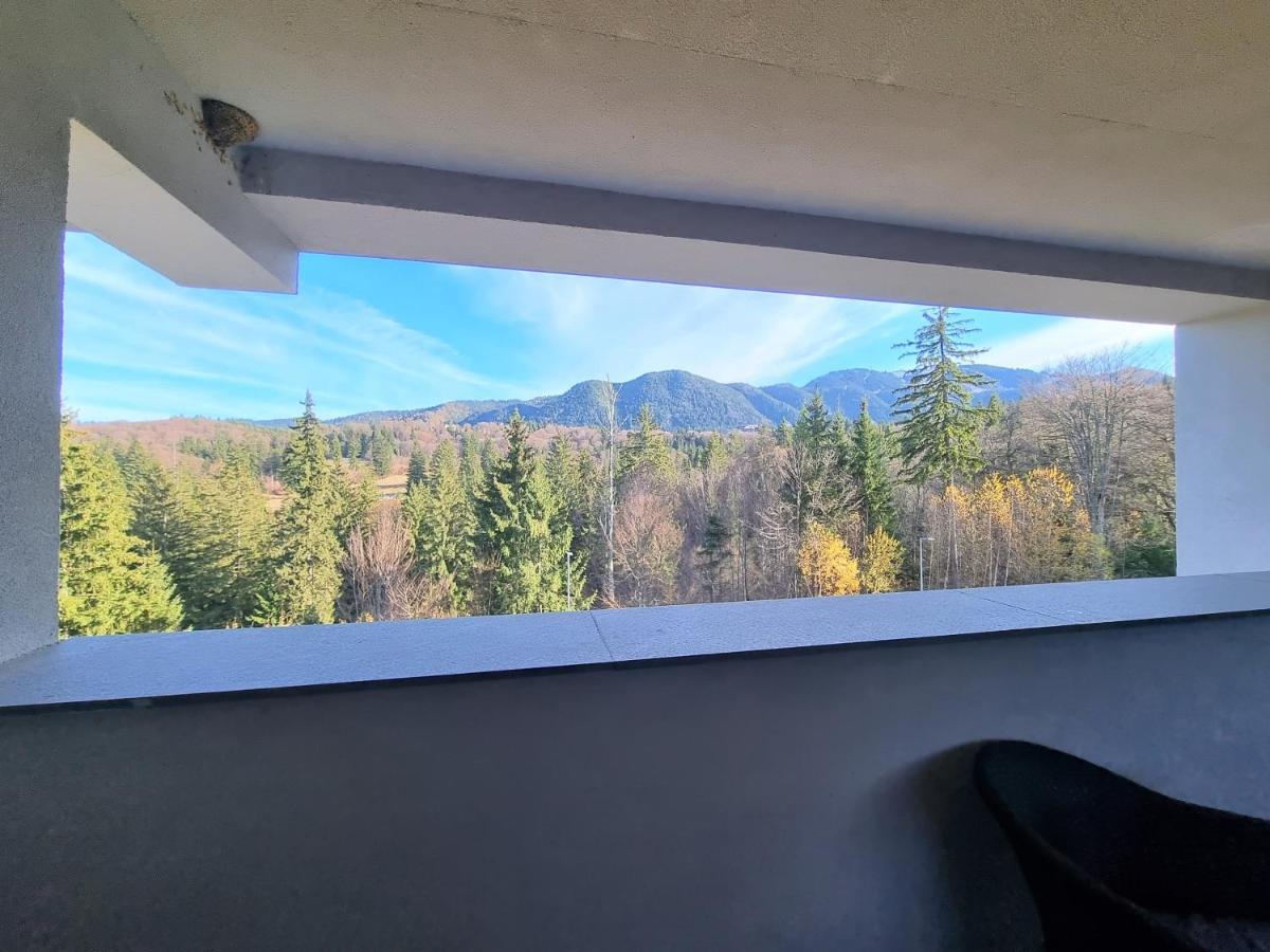 Maio Studio Silver Mountain Poiana Brasov Eksteriør billede